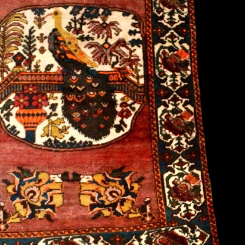 Afshar Peacock Rug, 132 X 198 Cm, Hand-knotted Wool In Iran Circa 1920-1930, Very Good Condition-photo-3