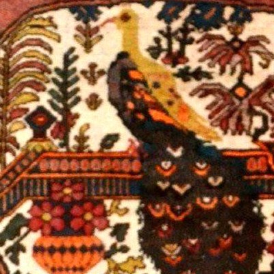 Afshar Peacock Rug, 132 X 198 Cm, Hand-knotted Wool In Iran Circa 1920-1930, Very Good Condition-photo-6