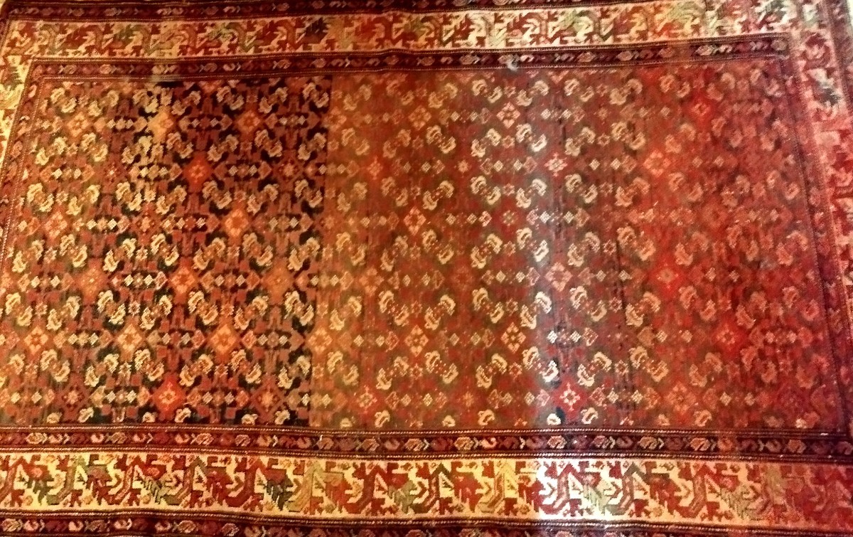 Malayer Carpet, Herati, 127 X 200 Cm, Hand-knotted Wool, Iran, Late 19th Century, Used Condition-photo-2