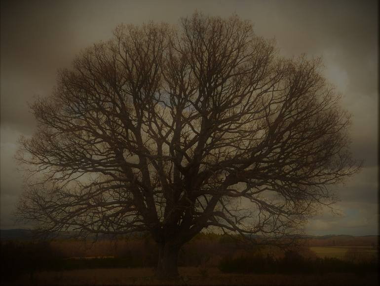 Tapis Gashghaï ancien, 136 x 201 cm, laine sur laine nouée main , Iran, fin du XIXème Siècle-photo-8