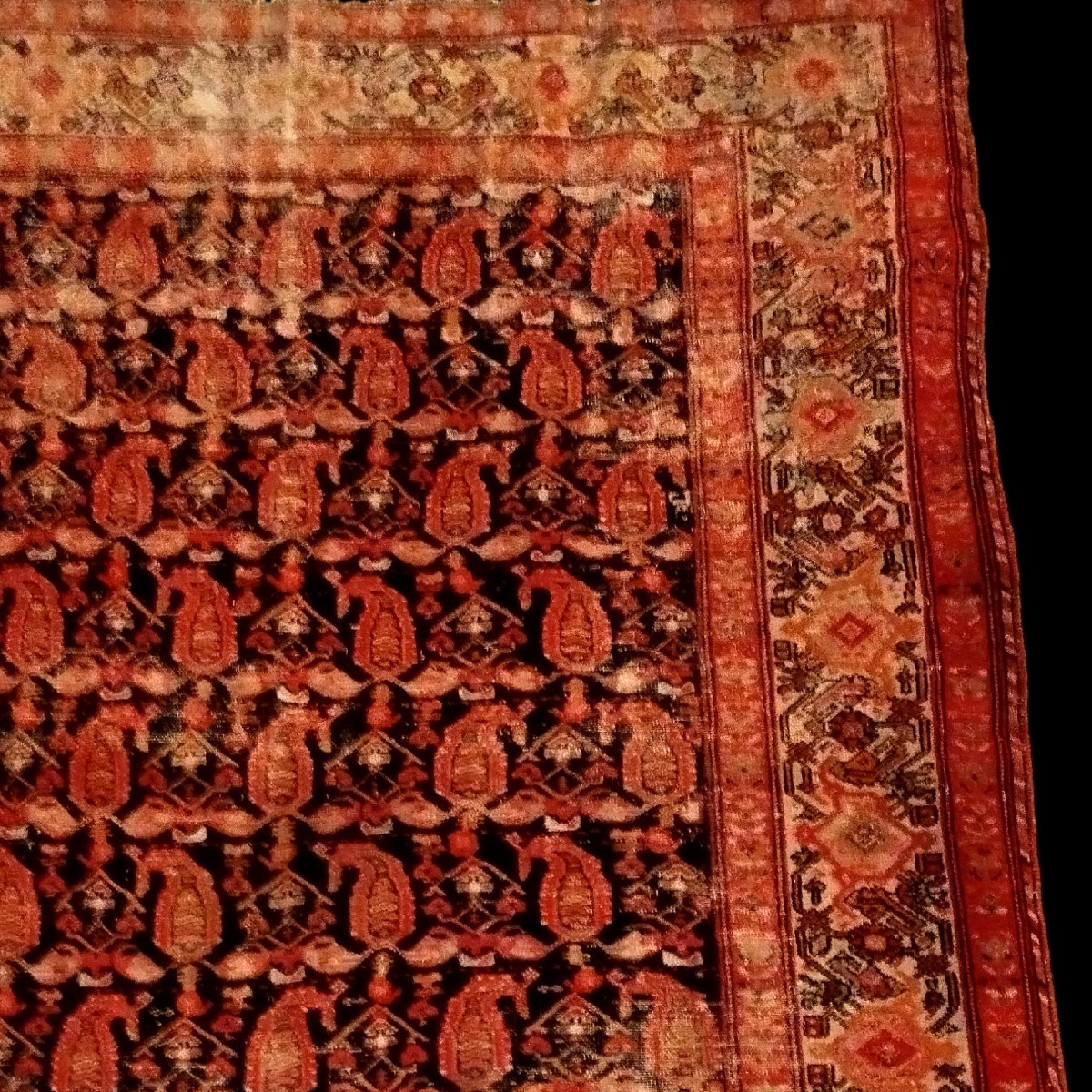 Afshar Rug, 145 X 190 Cm, Hand-knotted During The Qajar Dynasty In Iran, 19th Century Persia-photo-2