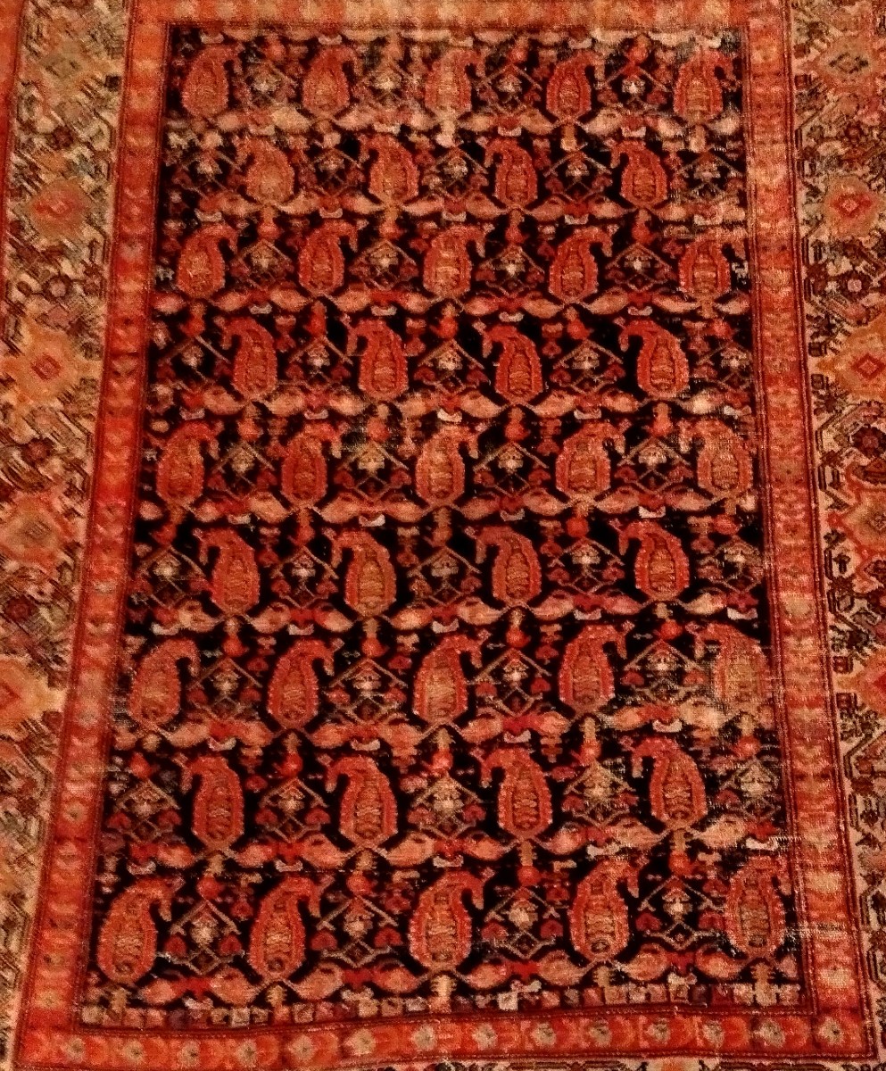 Afshar Rug, 145 X 190 Cm, Hand-knotted During The Qajar Dynasty In Iran, 19th Century Persia-photo-6