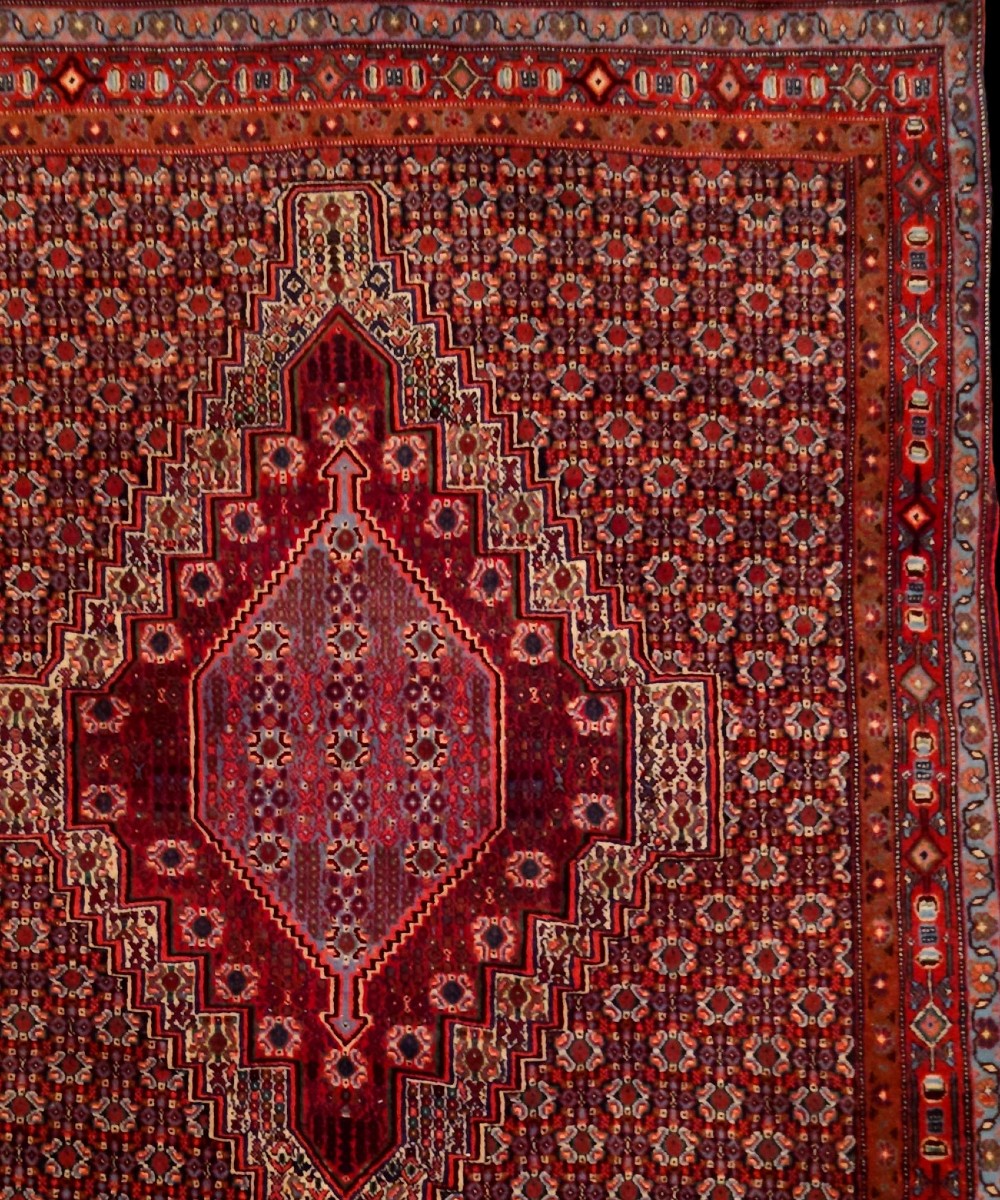 Tapis Senneh, 127 x 155 cm, laine nouée main au Kurdistan iranien, 1980, très bon état-photo-4