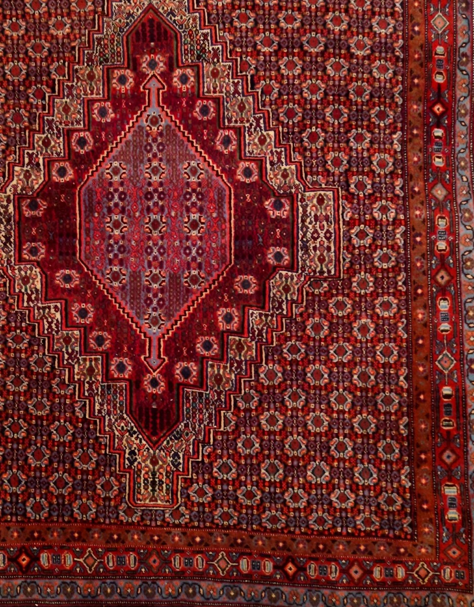 Tapis Senneh, 127 x 155 cm, laine nouée main au Kurdistan iranien, 1980, très bon état-photo-2
