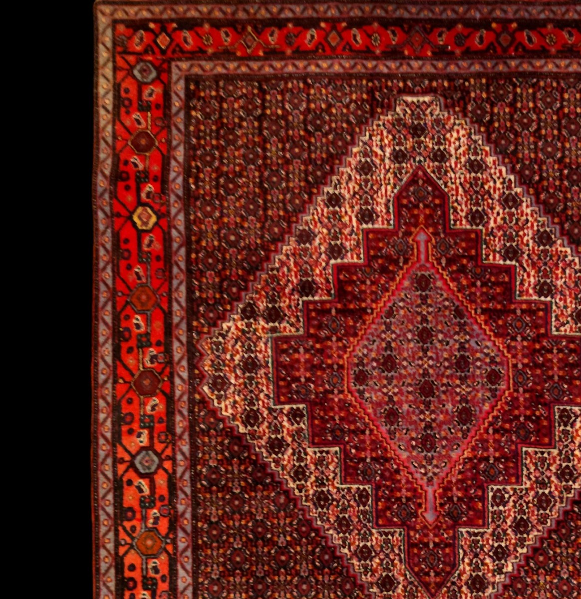 Tapis Senneh, 127 x 153 cm, laine nouée main au Kurdistan iranien, 1980, très bon état-photo-3