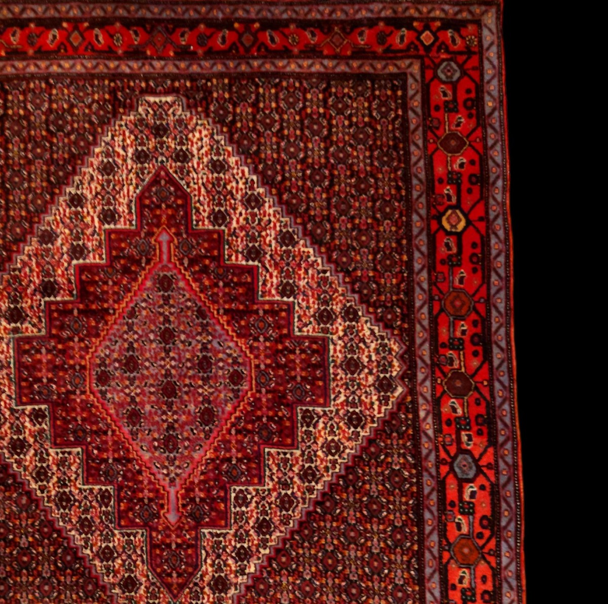 Tapis Senneh, 127 x 153 cm, laine nouée main au Kurdistan iranien, 1980, très bon état-photo-4