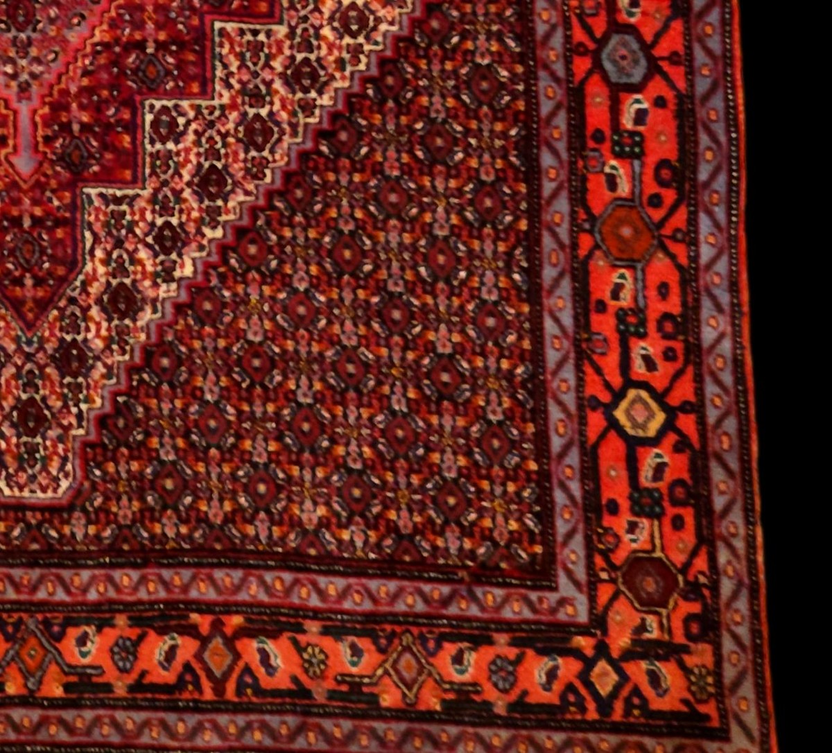 Tapis Senneh, 127 x 153 cm, laine nouée main au Kurdistan iranien, 1980, très bon état-photo-4