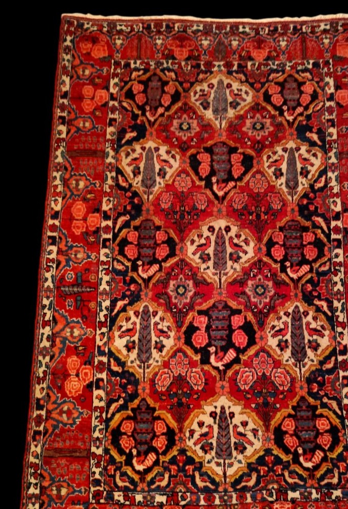 Tapis Bakhtiar "shotour"145 x 215 cm, laine nouée main, Iran, dynastie Kadjar, fin du XIXème S-photo-3