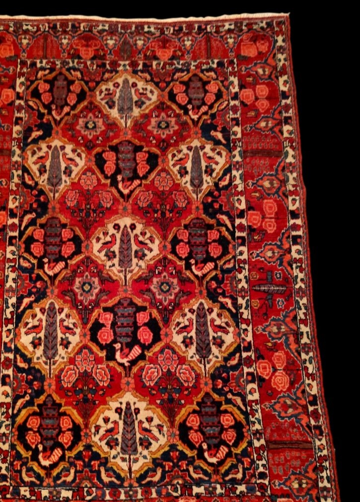 Tapis Bakhtiar "shotour"145 x 215 cm, laine nouée main, Iran, dynastie Kadjar, fin du XIXème S-photo-4