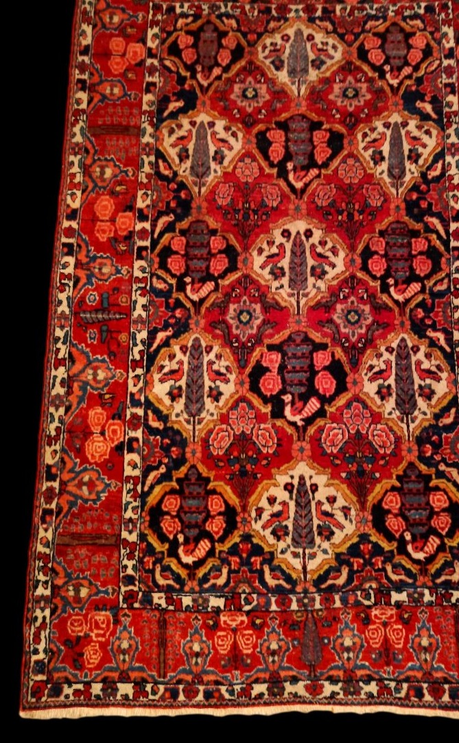 Tapis Bakhtiar "shotour"145 x 215 cm, laine nouée main, Iran, dynastie Kadjar, fin du XIXème S-photo-1