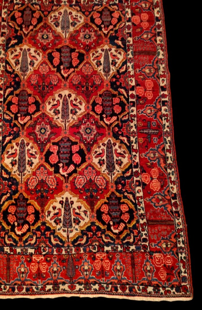 Tapis Bakhtiar "shotour"145 x 215 cm, laine nouée main, Iran, dynastie Kadjar, fin du XIXème S-photo-2