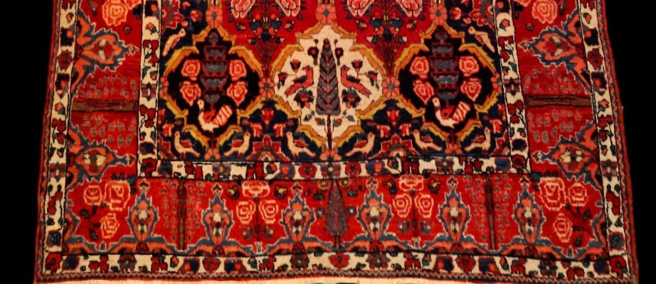 Tapis Bakhtiar "shotour"145 x 215 cm, laine nouée main, Iran, dynastie Kadjar, fin du XIXème S-photo-4