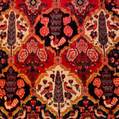 Tapis Bakhtiar "shotour"145 x 215 cm, laine nouée main, Iran, dynastie Kadjar, fin du XIXème S-photo-5