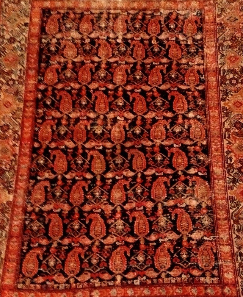 Tapis Afshar, 145 x 200 cm , laine nouée main en Iran, Dynastie Kadjar, XIXème siècle-photo-1
