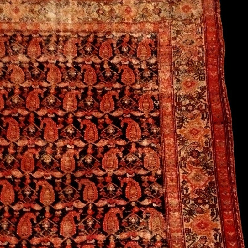 Tapis Afshar, 145 x 200 cm , laine nouée main en Iran, Dynastie Kadjar, XIXème siècle-photo-3