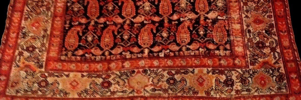 Tapis Afshar, 145 x 200 cm , laine nouée main en Iran, Dynastie Kadjar, XIXème siècle-photo-4