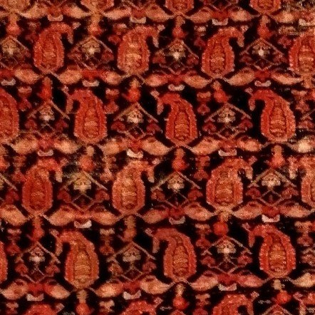Tapis Afshar, 145 x 200 cm , laine nouée main en Iran, Dynastie Kadjar, XIXème siècle-photo-7
