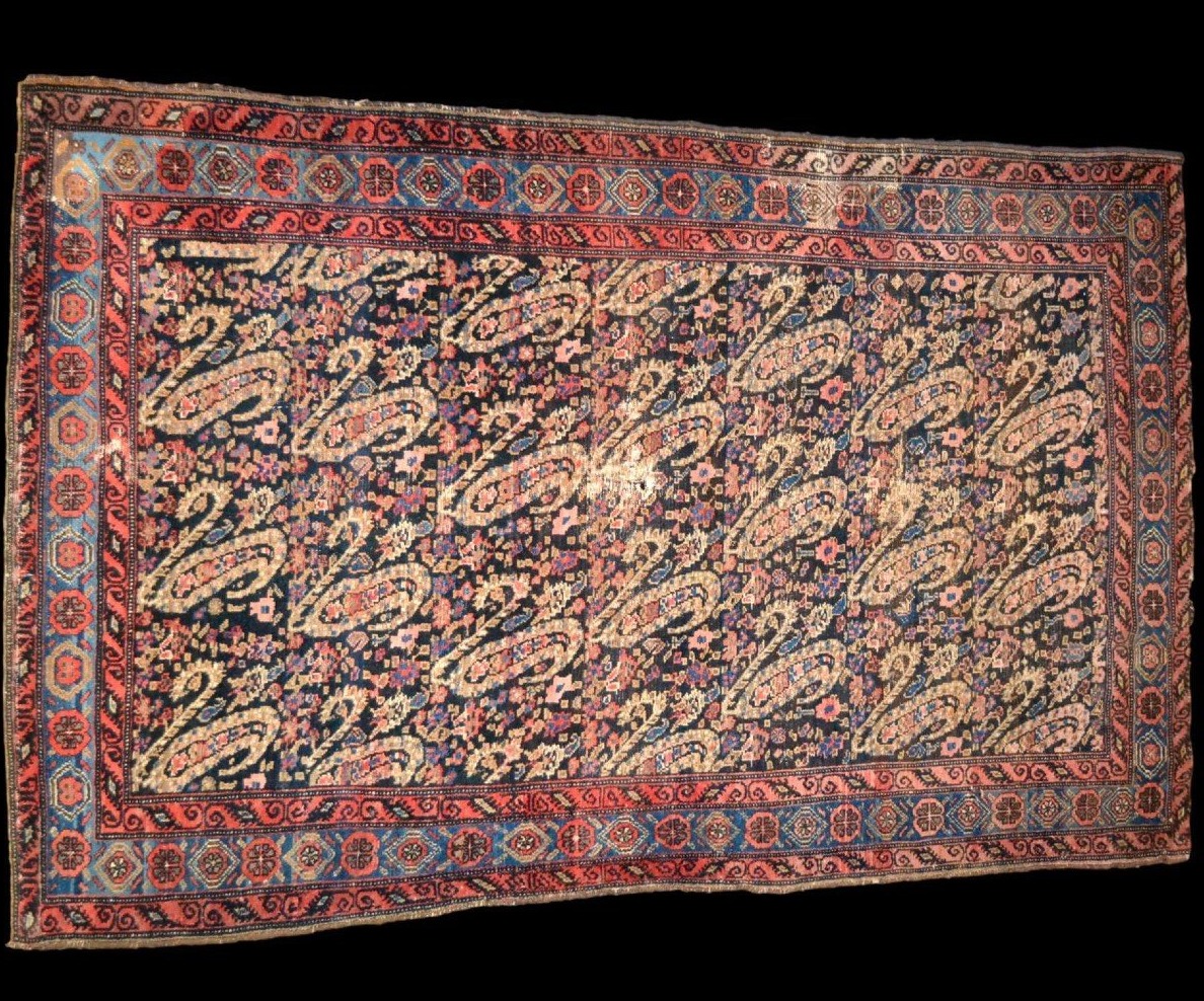 Tapis Senneh, 127 x 187 cm, laine nouée main sous la dynastie Kadjar, décor de botehs, XIXème S-photo-2