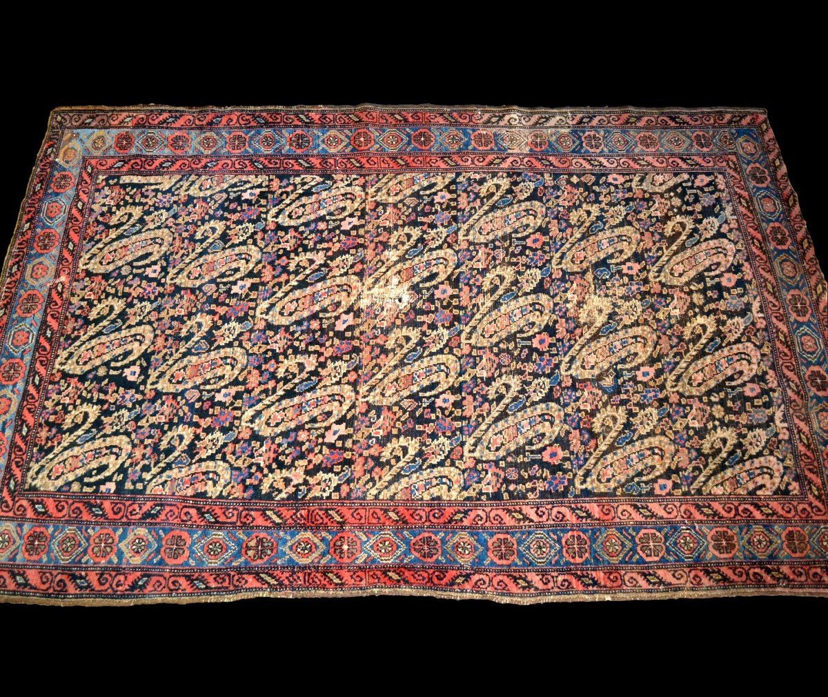 Tapis Senneh, 127 x 187 cm, laine nouée main sous la dynastie Kadjar, décor de botehs, XIXème S-photo-3