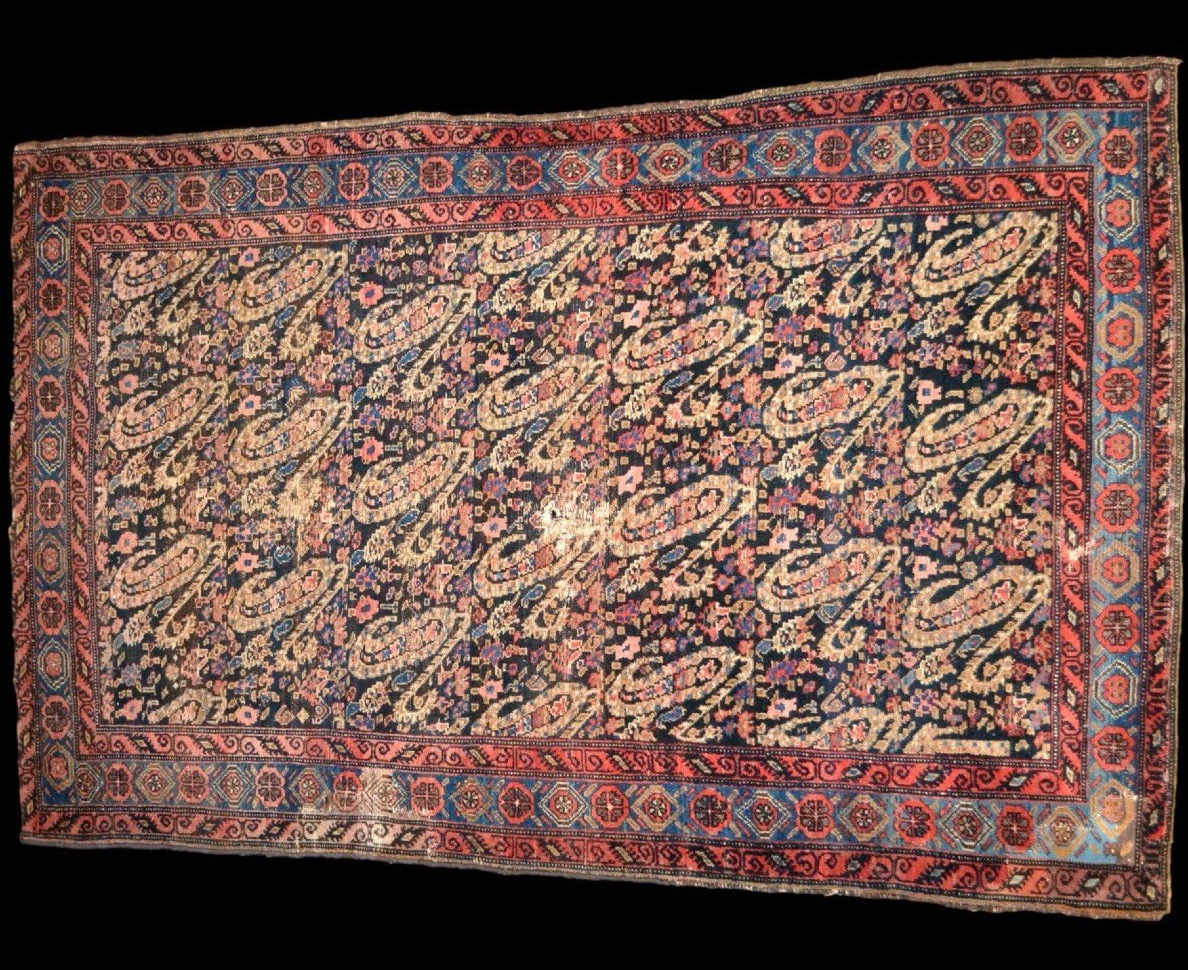 Tapis Senneh, 127 x 187 cm, laine nouée main sous la dynastie Kadjar, décor de botehs, XIXème S-photo-4