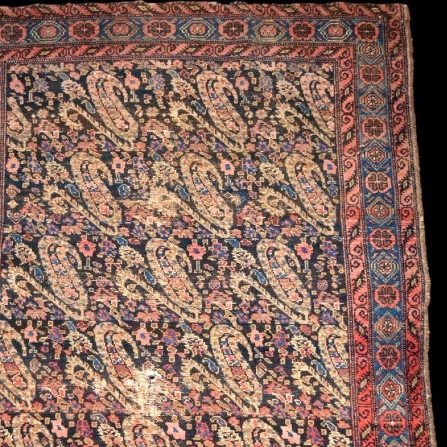 Tapis Senneh, 127 x 187 cm, laine nouée main sous la dynastie Kadjar, décor de botehs, XIXème S-photo-2