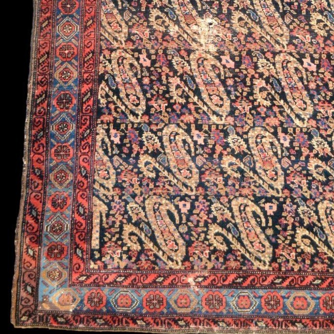 Tapis Senneh, 127 x 187 cm, laine nouée main sous la dynastie Kadjar, décor de botehs, XIXème S-photo-3