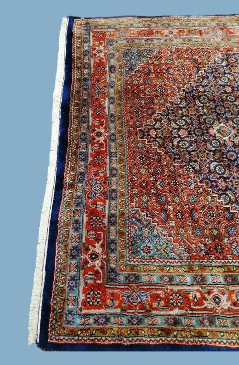 Tapis bidjar, 182 cm x 243 cm, Iran, laine nouée main, 1970,  très bon état-photo-5