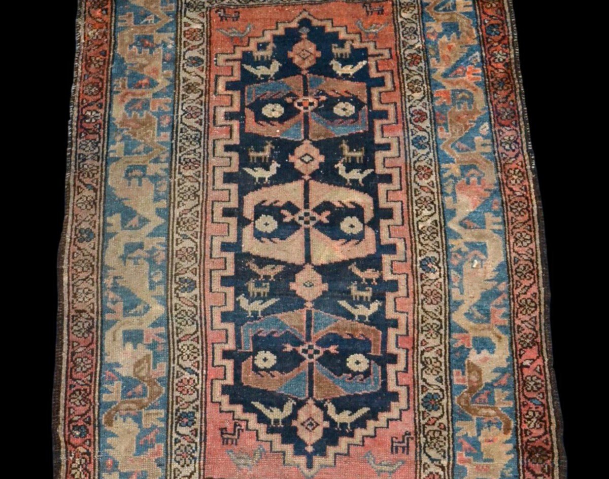 Tapis Chirvan ancien, Caucase, 115 cm x 176 cm, laine nouée main, XIXème siècle-photo-4