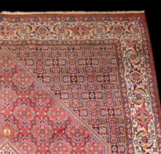 Tapis Persan Bidjar, 203 cm x 302 cm, laine nouée main en Iran, très bon état, 1980, Superbe-photo-4