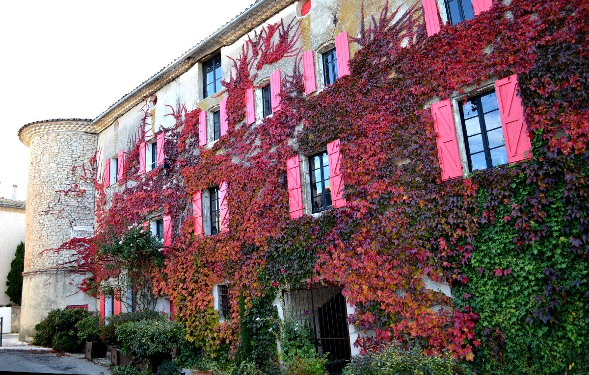 Tapis de ville, Tunisie, noué main, 1980, 120 cm x 188 cm, décor de jardin, parfait état-photo-7