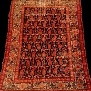 Tapis Afshar, 145 x 200 cm , laine nouée main en Iran, Dynastie Kadjar, XIXème siècle