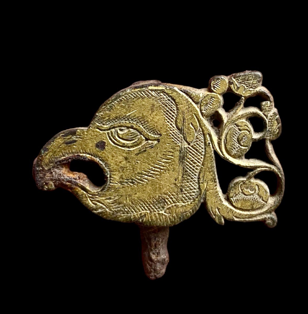Medieval Heraldic Griffin Head
