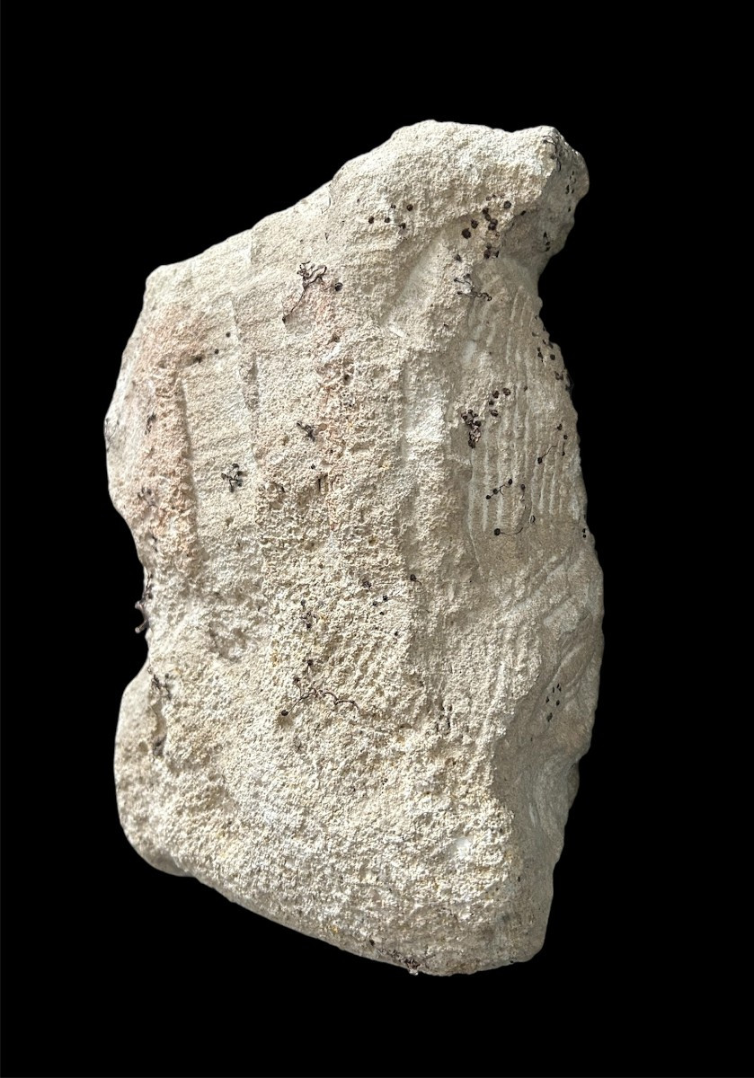 Head Of Christ In Limestone - 15th Century, France-photo-4