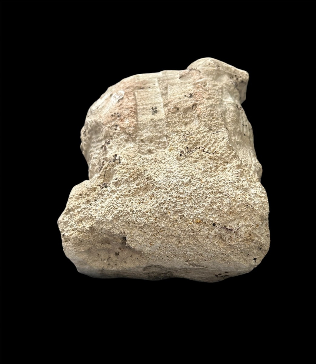 Head Of Christ In Limestone - 15th Century, France-photo-1
