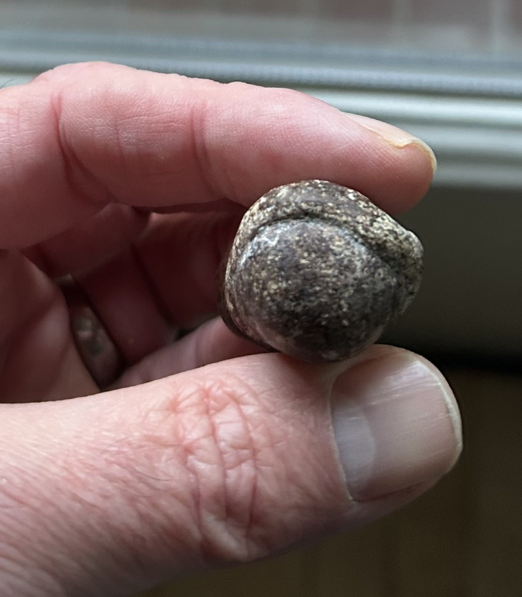 Virgin Mary With A Serpent Around Her Neck, 16th Century-photo-3
