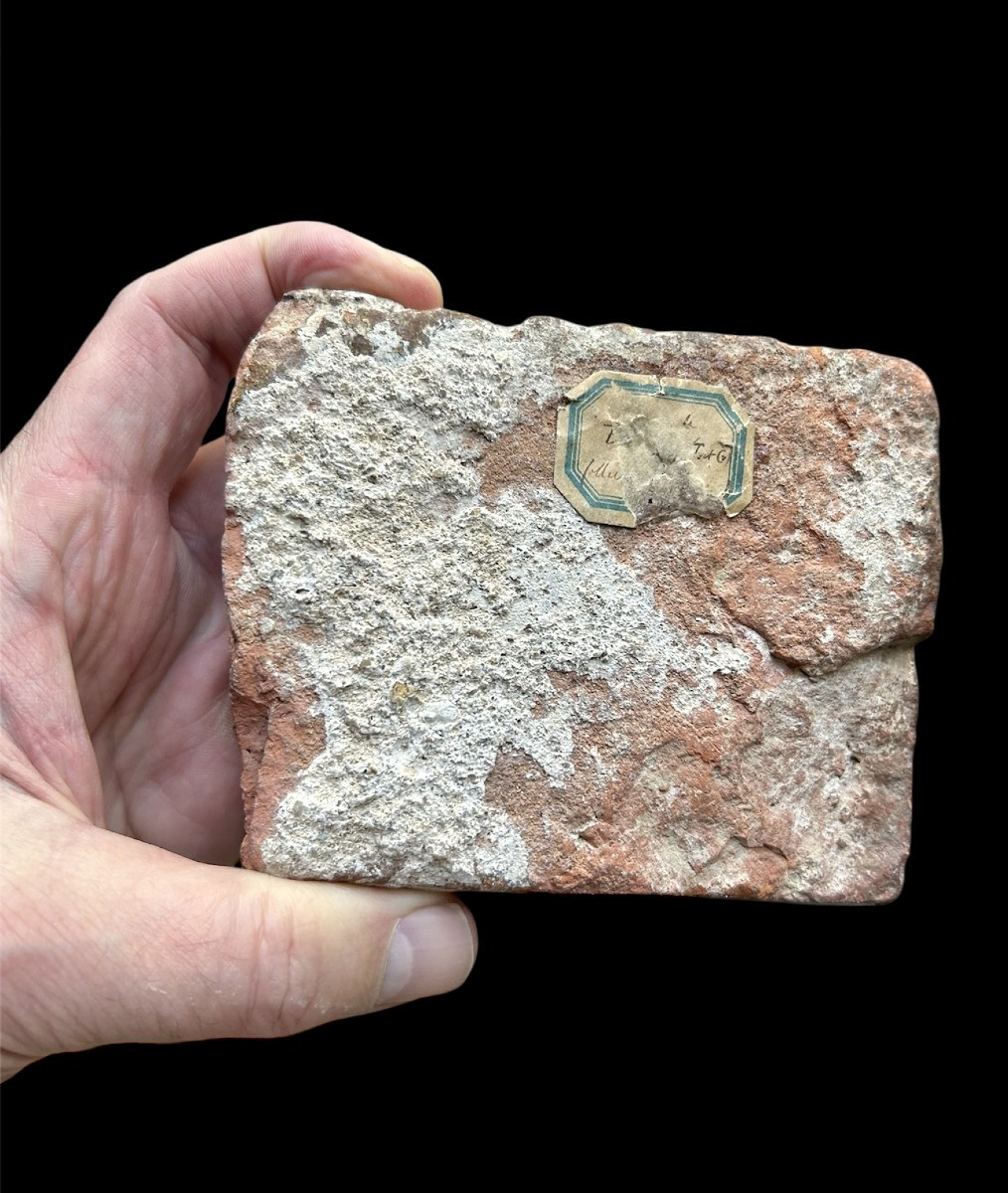 A 13th-14th Century Floortile Of A Fish-a Sturgeon?-photo-2