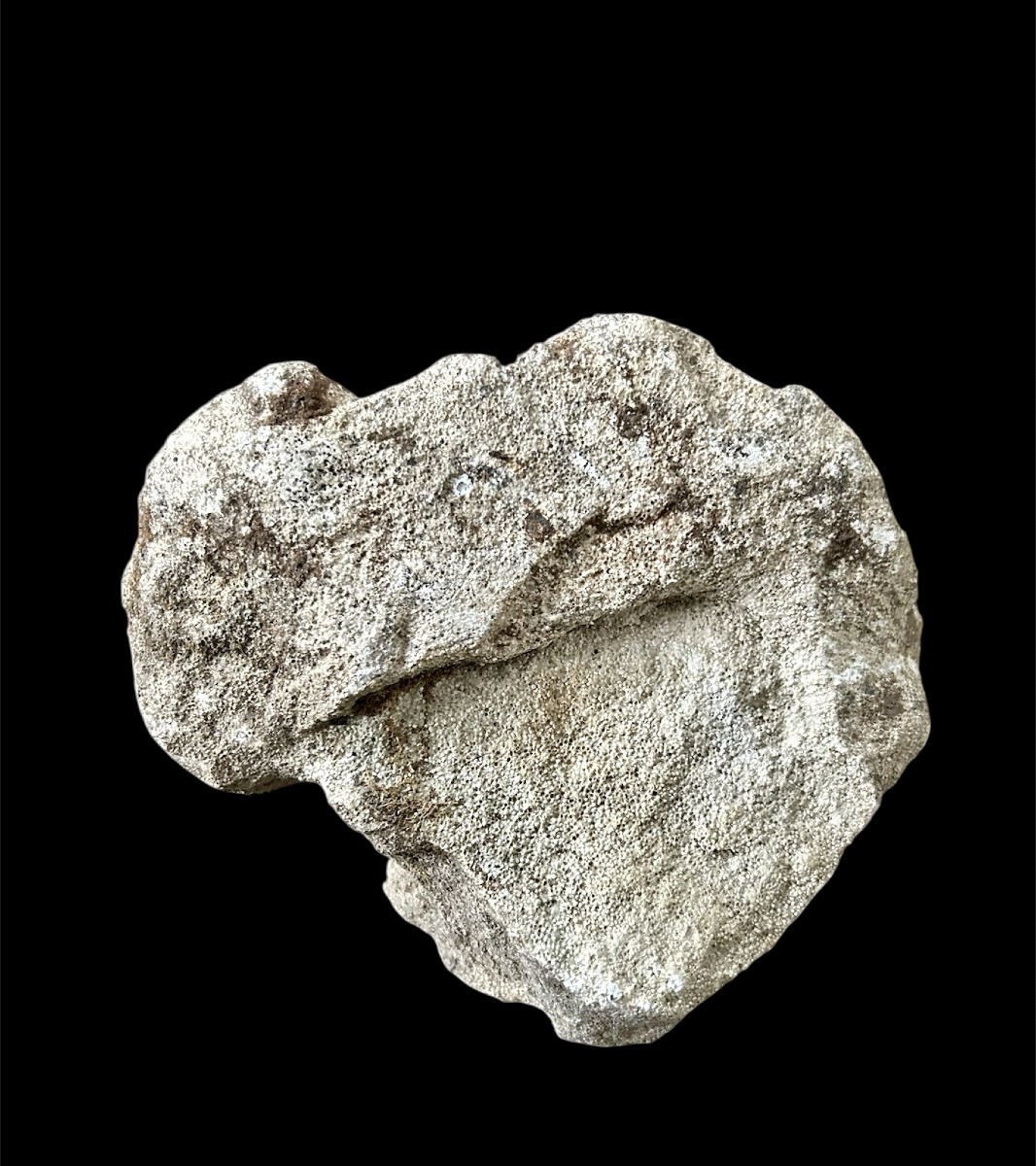 12th Century Stone Capital Depicting A Cockatrice-photo-2