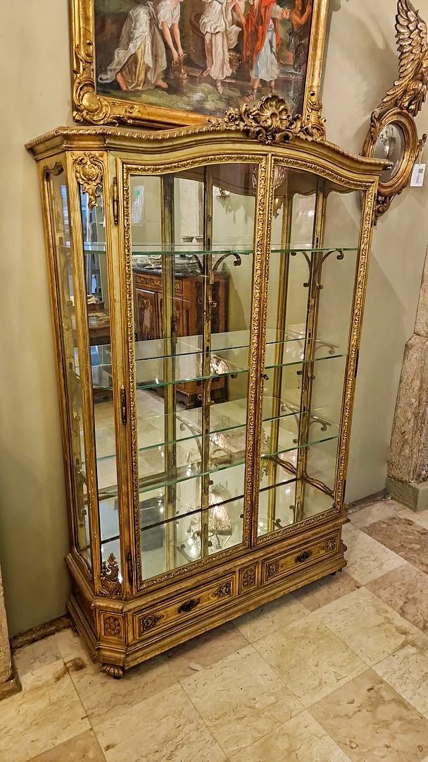 Important Pair Of Showcases Louis XVI Style, Napoleon III Period 19th Century France -photo-3