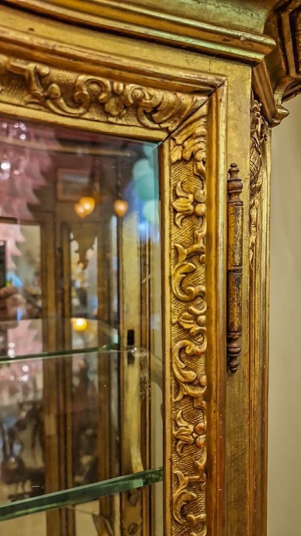 Important Pair Of Showcases Louis XVI Style, Napoleon III Period 19th Century France -photo-4