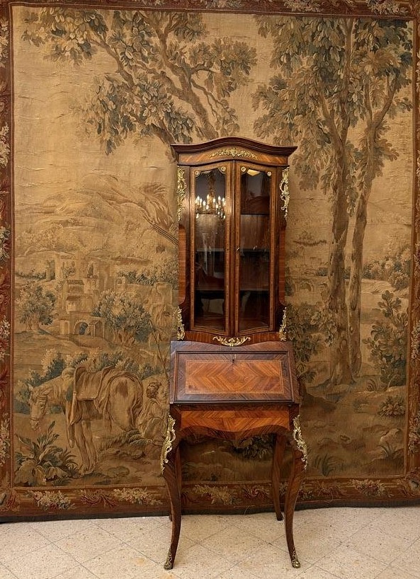 Elegant Louis XVI Style Display Desk In Palisander And Rosewood – France, 19th Century