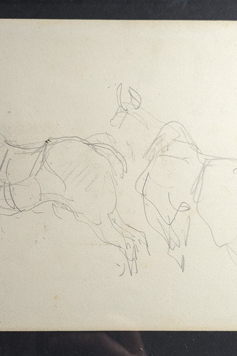 Drawing Henri De Toulouse-lautrec - Saddled Horses - 1880 - Dortu And Certificate Of Authenticity-photo-4