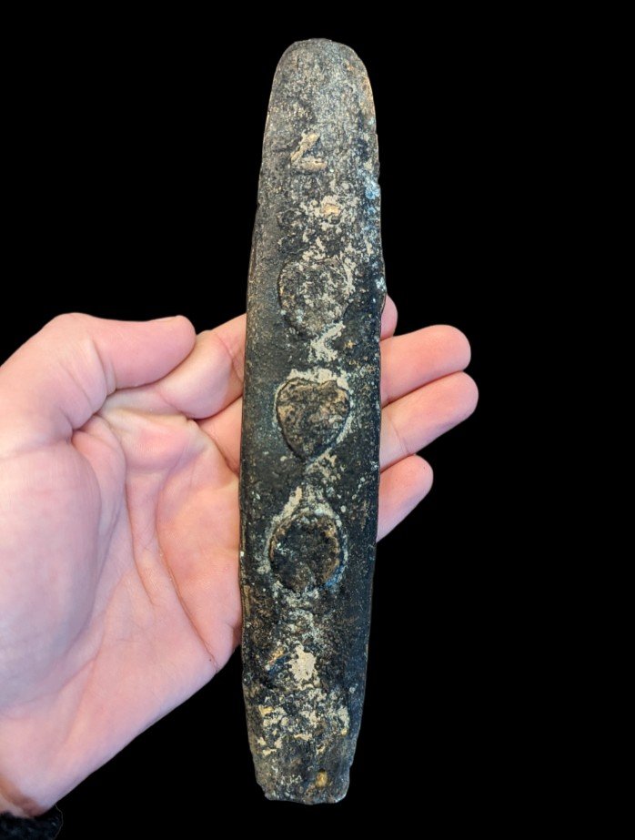 Bronze Ingot - Tiger Tongue Currency - Kingdom Of Lanchang, Laos 18th Century-photo-4