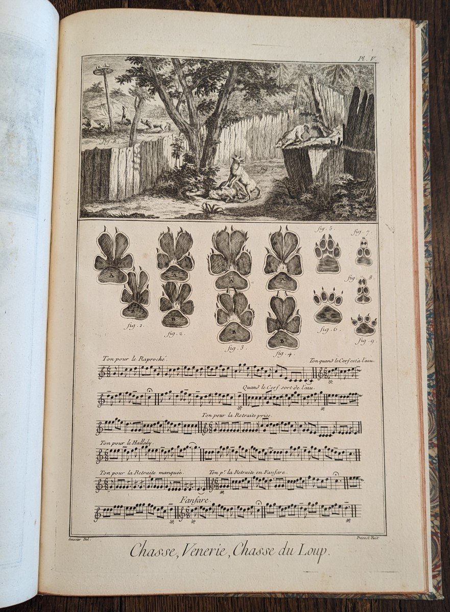 Encyclopédie Diderot - Recueil De Planches - La Chasse - 1753 - Etat Remarquable-photo-4