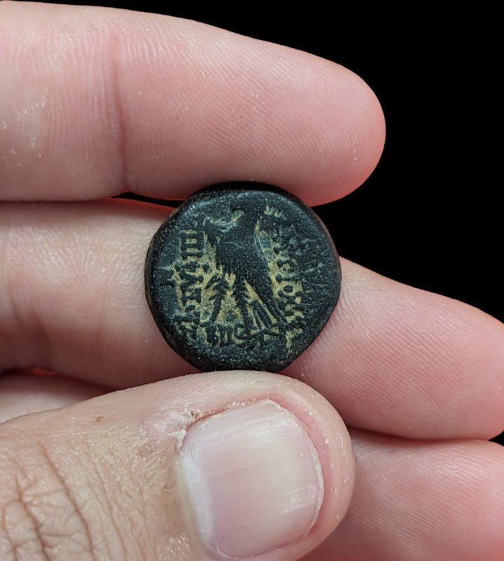 Hemiobolus From Antiochos VIII - Bronze - 120 Bc - Emile Sable Collection - Numismatics-photo-4