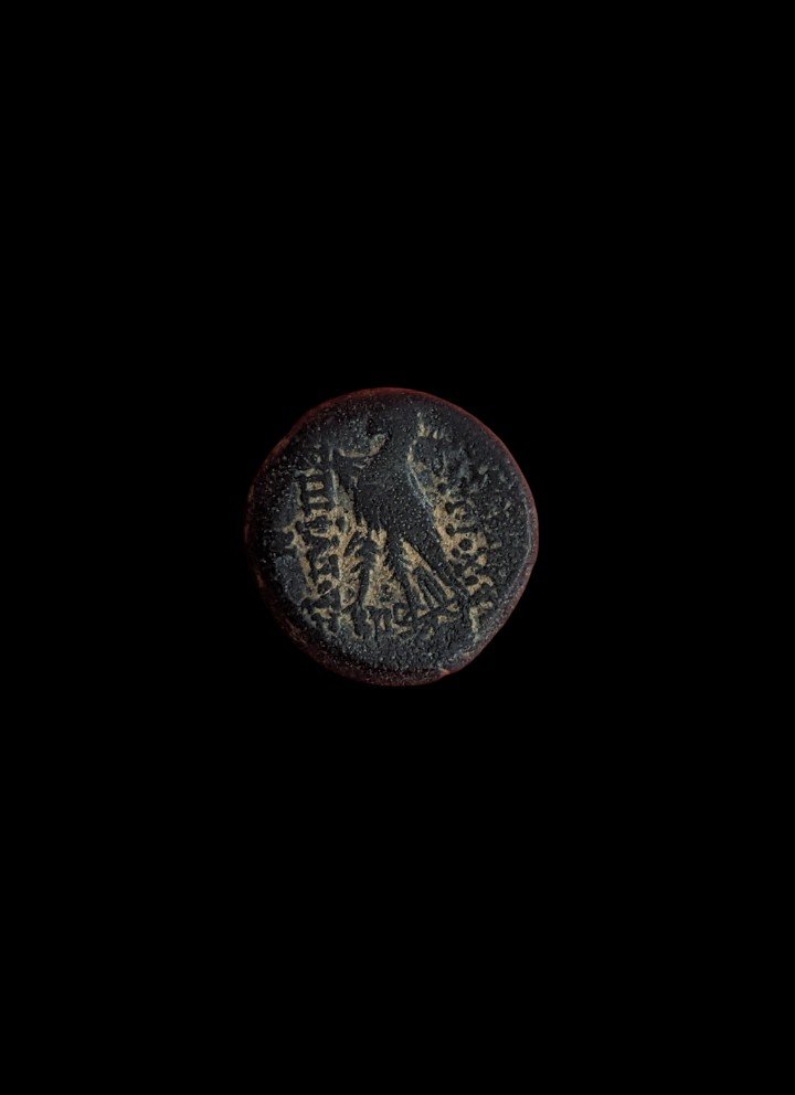 Hemiobolus From Antiochos VIII - Bronze - 120 Bc - Emile Sable Collection - Numismatics-photo-2