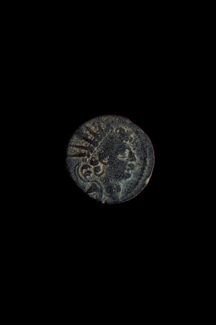 Hemiobolus From Antiochos VIII - Bronze - 120 Bc - Emile Sable Collection - Numismatics-photo-3