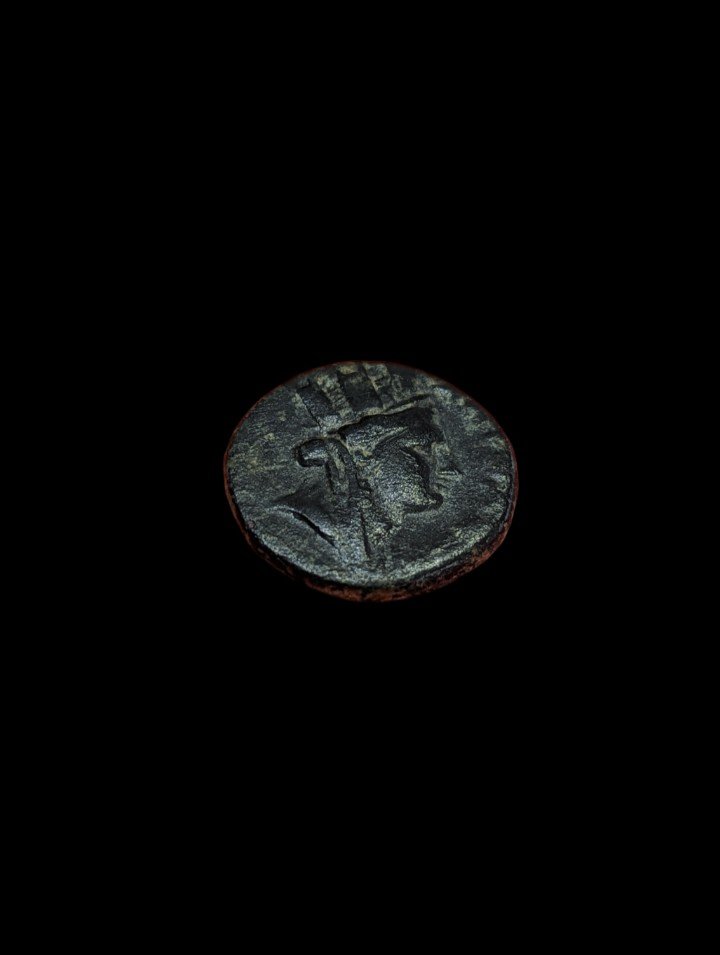 Monnaie Provinciale Romaine -trichalque - Bronze -syrie -séleucie Et Piérie-photo-4