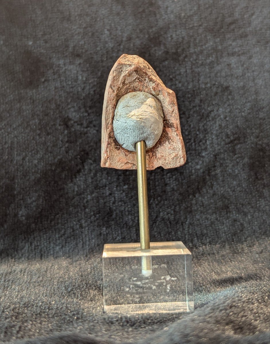 Tête votive en terre cuite - Travail gréco-romain - Égypte-photo-4