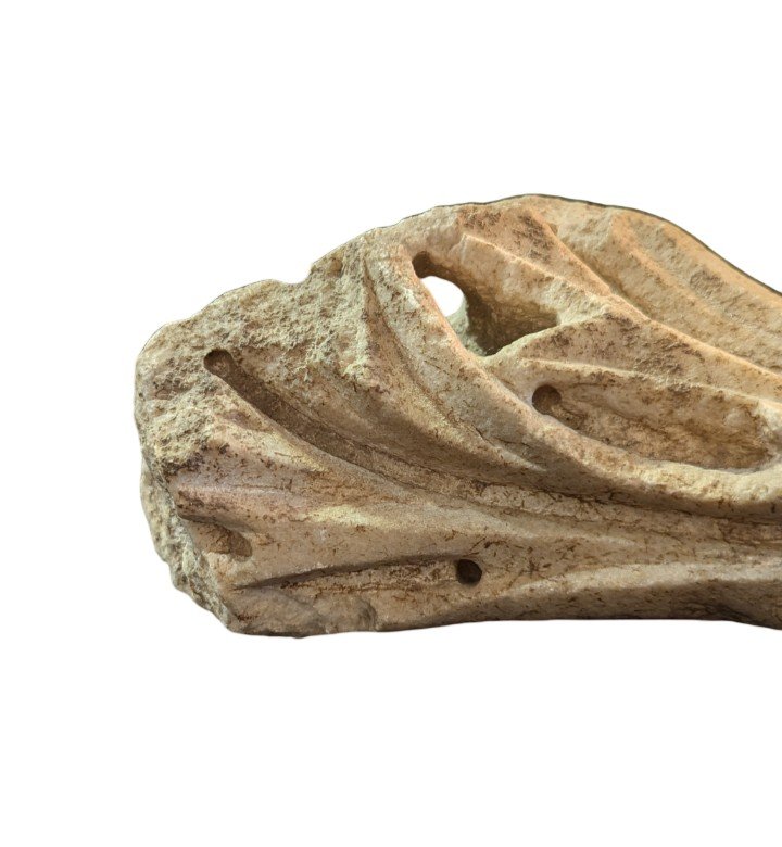Roman Marble Fragment – Acanthus Leaf – Archaeology -photo-2