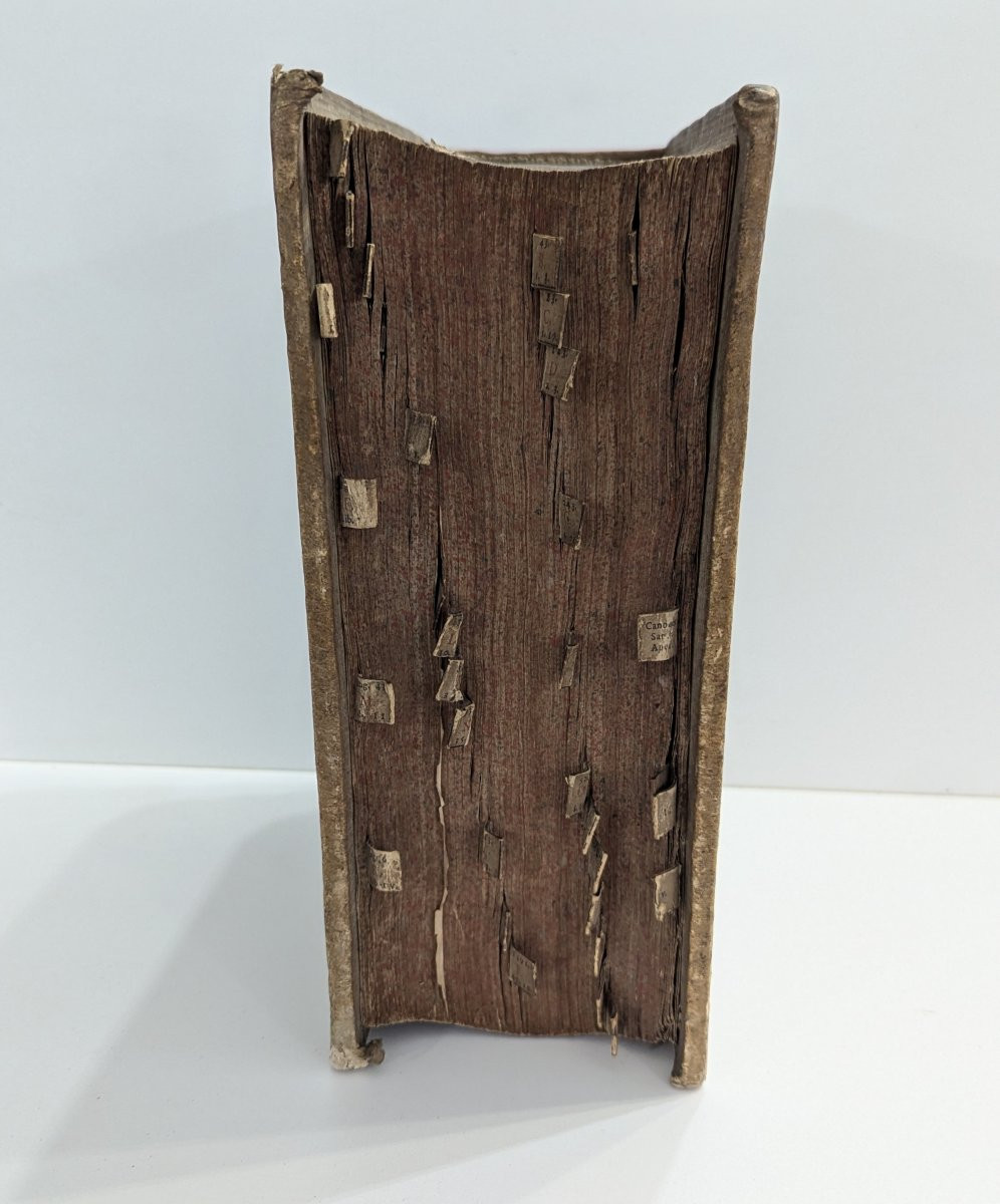 Corpus Juris Civilis Academicum – Christoph Henrich – Basel – 1735 – 2814 Pages-photo-1